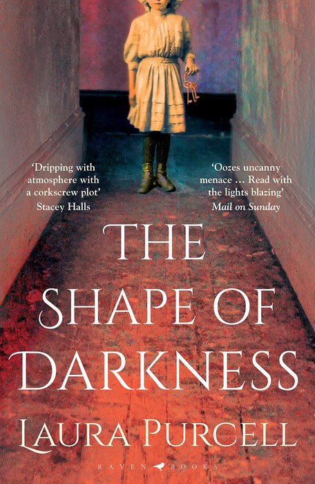 The Shape of Darkness : 'A future gothic classic' Martyn Waites
