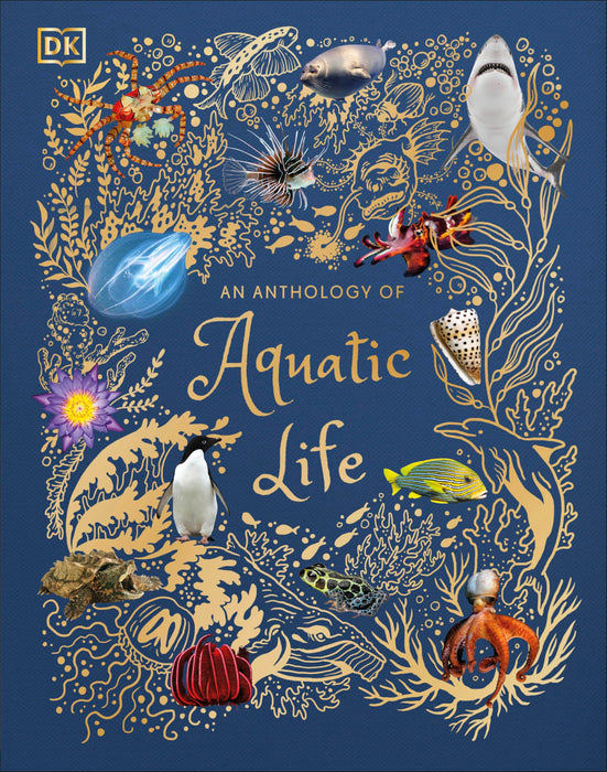 An Anthology of Aquatic Life : Discover the Secret Lives Under the Sea