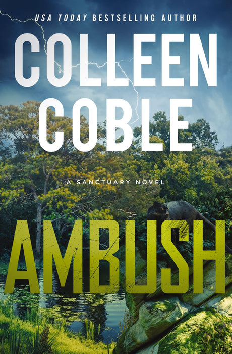 Ambush : A Small-Town Romantic Suspense : 1