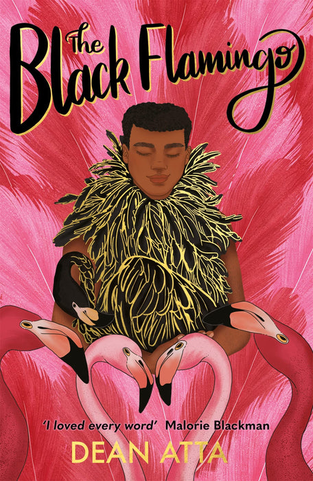 The Black Flamingo : The much loved, award-winning, queer coming-of-age story