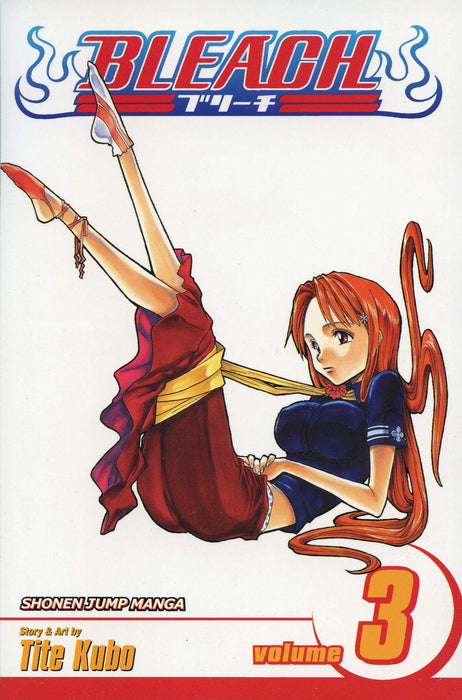 Bleach, Vol. 3 : Memories in the Rain Volume 3