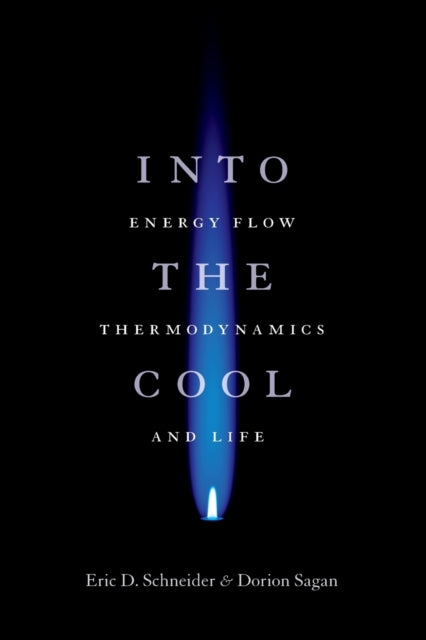Into the Cool : Energy Flow, Thermodynamics, and Life
