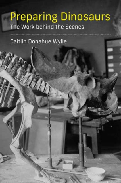 Preparing Dinosaurs : The Work behind the Scenes