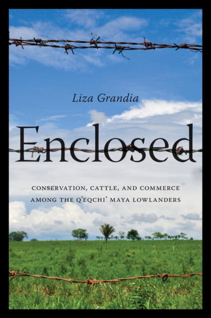 Enclosed : Conservation, Cattle, and Commerce Among the Q’eqchi’ Maya Lowlanders