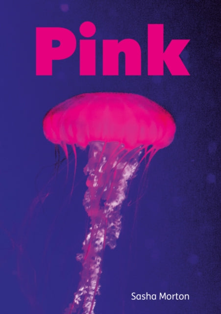 Set 04 - Pink