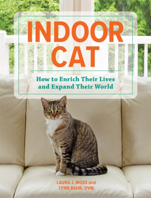 Indoor Cat : How to Enrich their Lives and Expand their World