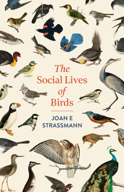 The Social Lives of Birds : a must-read for bird and nature lovers