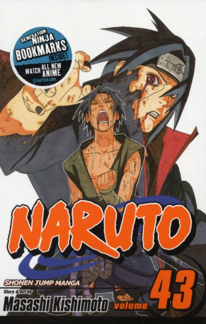 Naruto, Vol. 43 : Volume 43