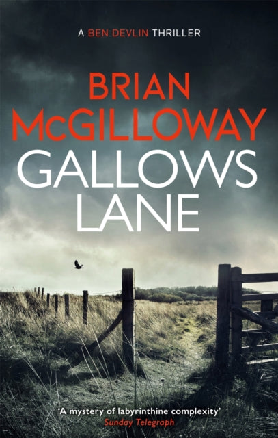 Gallows Lane : An ex con and drug violence collide in the borderlands of Ireland...