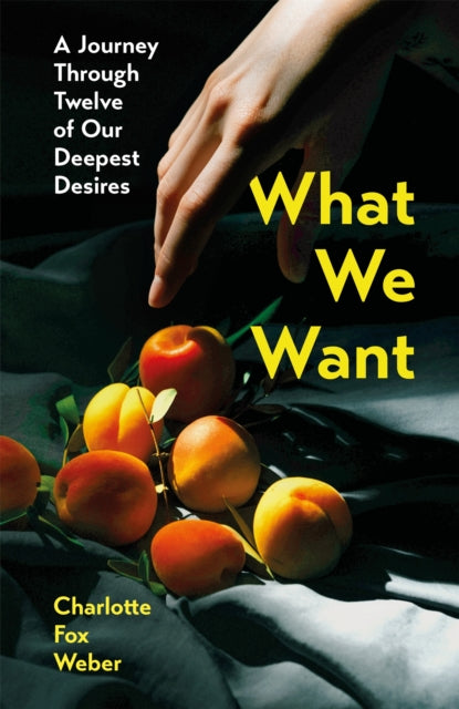 What We Want : A Journey Through Twelve of Our Deepest Desires