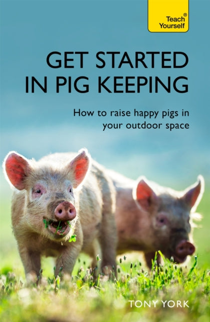 Get Started In Pig Keeping : How to raise happy pigs in your outdoor space