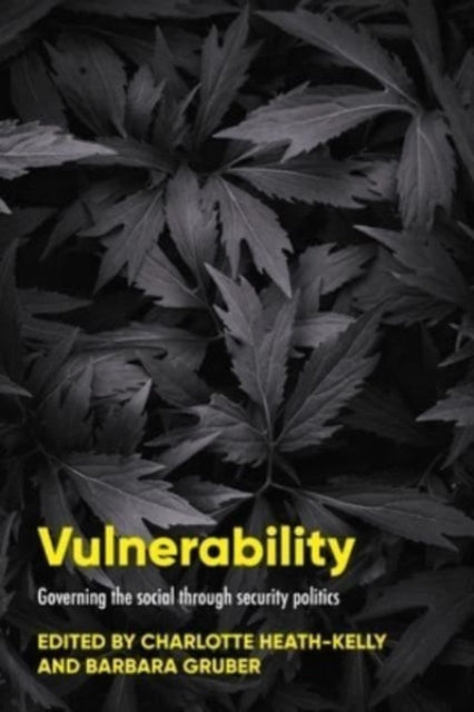 Vulnerability : Governing the Social Through Security Politics