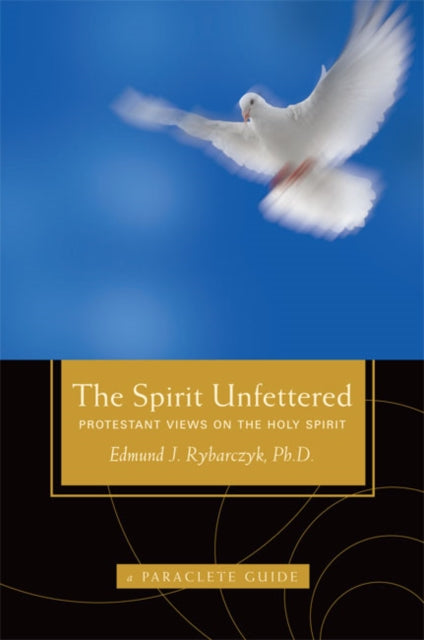 The Spirit Unfettered : Protestant Views on the Holy Spirit