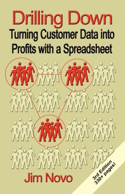 Drilling Down : Turning Customer Data into Profits with a Spreadsheet - Third Edition