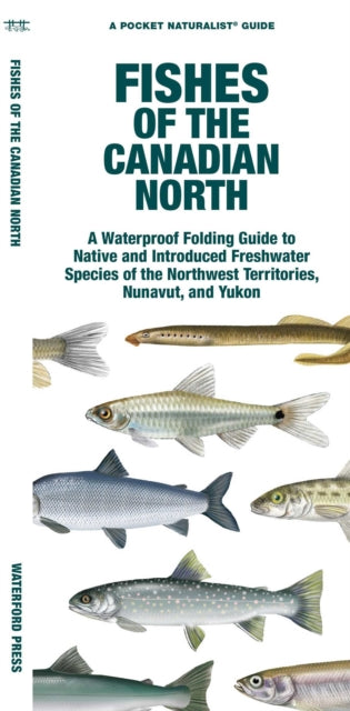 Fishes of the Canadian North : A Folding Guide to Native and Introduced Freshwater Species of the Northwest Territories, Nunavut and Yukon