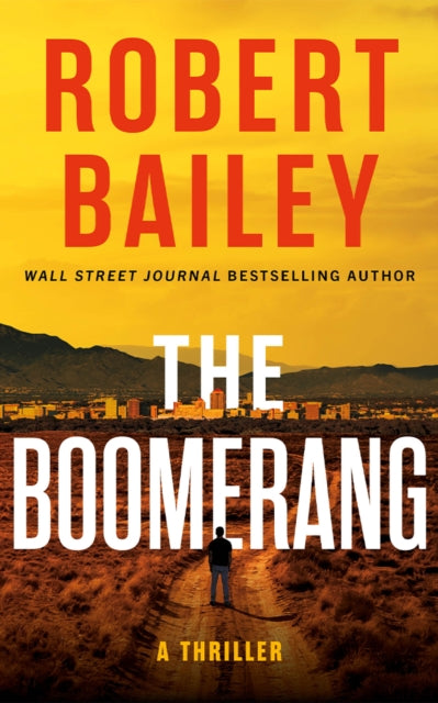 The Boomerang : A Thriller
