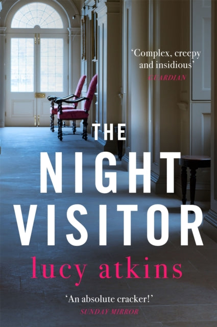 The Night Visitor : the gripping thriller from the author of Magpie Lane