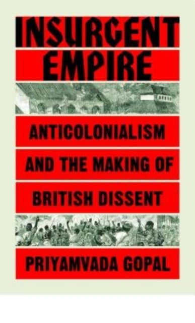 Insurgent Empire : Anticolonial Resistance and British Dissent