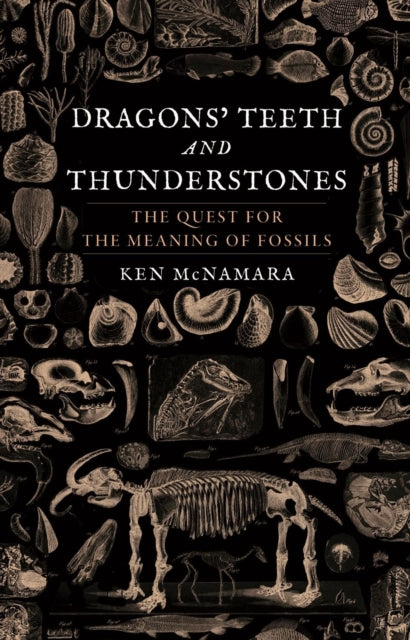 Dragons’ Teeth and Thunderstones : The Quest for the Meaning of Fossils