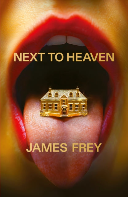 Next to Heaven : The PROVOCATIVE new novel from BESTSELLING author of A Million Little Pieces