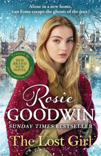 The Lost Girl : The heartbreaking  Sunday Times bestseller from Britain's best-loved saga author