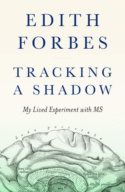 Tracking a Shadow : A Lived Experiment with MS