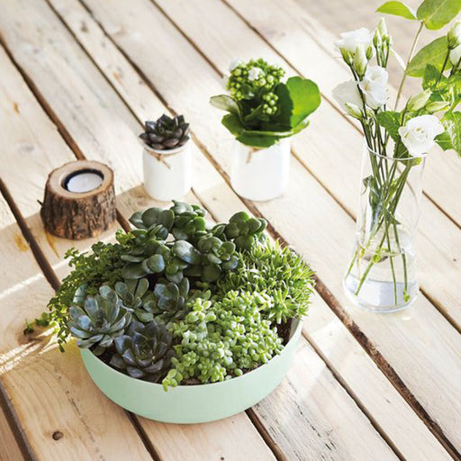 V6H834A0E62E7626F5484788F38099C47ACR4427614P2