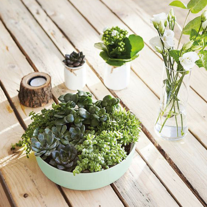 V6H834A0E62E7626F5484788F38099C47ACR4427614P2