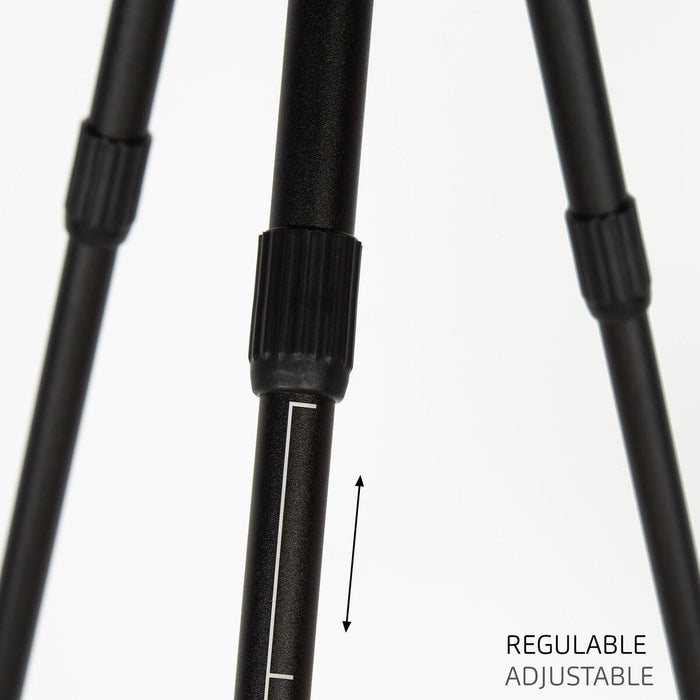 V5H1D0DBBEAE71A533ECE2E1F274C2C46A8R5649350P4